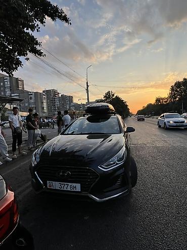 Частная аренда авто: Трансфер по кр представительских седанов бизнес‑класса Предлагаются — 5