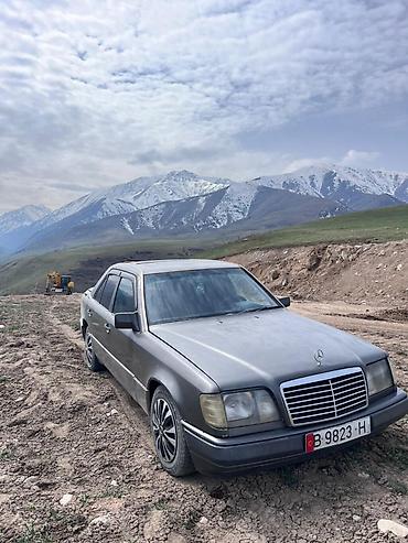 w124 e220: Mercedes-Benz W124: 1992 г., 2.5 л, Механика, Дизель, Седан — 4