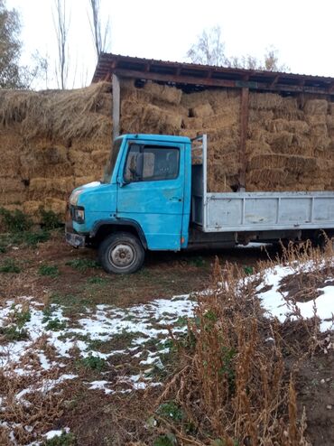 Mercedes-Benz: Mercedes-Benz : 1989 г., 4 л, Механика, Дизель