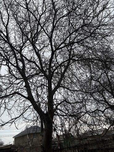 Продажа домов: Дом, 85 м², 4 комнаты, Собственник, Старый ремонт — 16