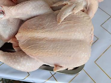 туша курицы: Здрастуйте друзя Продаю мясо курицы(бройлерный) по 300 сом за 1 кг — 3