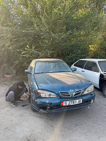 560 sec: Nissan Primera: 2003 г., Механика, Седан — 1