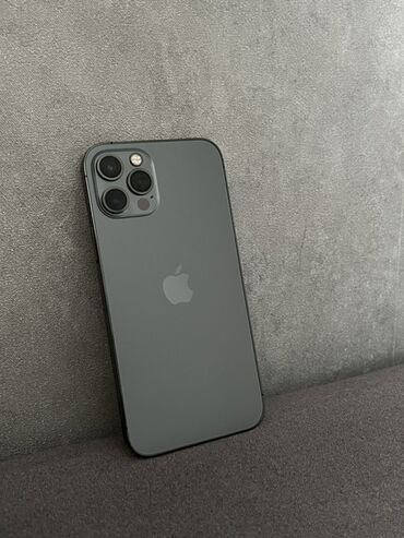 зарядка для айфона 12 оригинал: IPhone 12 Pro, Графит