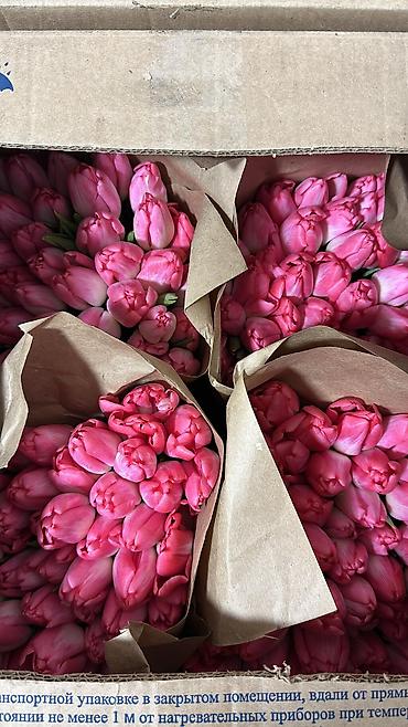 Букеты из живых цветов: Свежие тюльпаны в большом количестве! 🌷 💰 Цены: — В розницу —130 — — 5