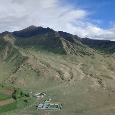 Сельхоз предприятия: Продаю Кошара, 200 соток, Действующий — 2