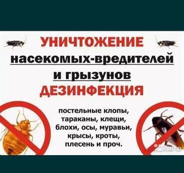 Дезинфекция, дезинсекция: Дезинфекция, дезинсекция, | Блохи, Вирусы, микробы, Клопы, | Офисы, Дома, Кафе, магазины — 10