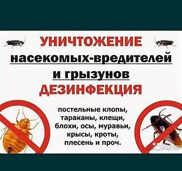 Дезинфекция, дезинсекция: Дезинфекция, дезинсекция, | Клопы, Муравьи, Мыши и крысы, | Дома, Кафе, магазины, Квартиры — 12