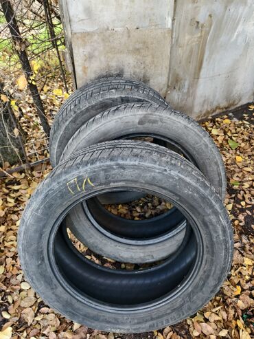 Шины: Шины 245 / 55 / R 19, Всесезонная, Б/у, Внедорожные (АТ/МТ), Michelin