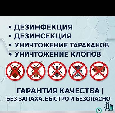 Дезинфекция, дезинсекция: Дезинфекция, дезинсекция, | Тараканы, | Квартиры — 1