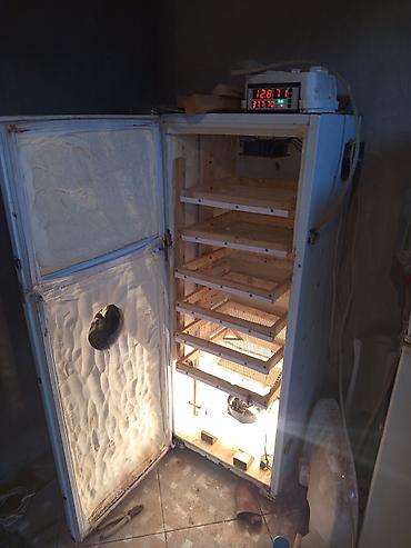 İnkubatorlar: Bütün növ quşlaq üçün — 8