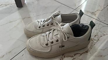 ağ sarucka: Lacoste kişi/kadın casual idman ayaqqabısı - Model: Aşağı profilli — 2