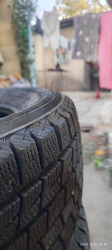 Шины: Зимние шины Roadstone (Nexen) Winguard Arctic S-9, без шипов. почти — 5