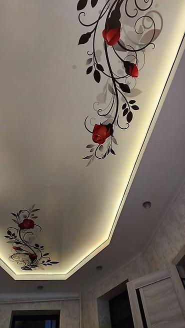 Натяжной потолок: Натяжной потолок Матовое, 3D потолки, Глянцевое Бесплатная консультация, Демонтаж, Бесплатный замер — 20