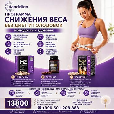 Комплексная программа снижения веса Dandelion — без диет и голодовок