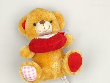 Mascot Teddy bear, condition - Perfect
