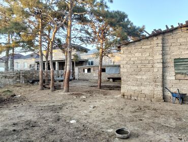 Torpaq sahələrinin satışı: Kənd təsərrüfatı — 11