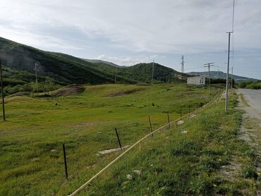 Torpaq sahələrinin satışı: 350 sot, Kənd təsərrüfatı, Maklerlər narahat etməsin, Kupça (Çıxarış) -da lalafo.az — 3 Torpaq sahələrinin satışı: 350 sot, Kənd təsərrüfatı, Maklerlər narahat etməsin, Kupça (Çıxarış) — 3