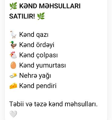 Яйца: Kənd məhsulları satılır! Təklif olunanlar: - Kənd qazı - Kənd ördəyı — 1