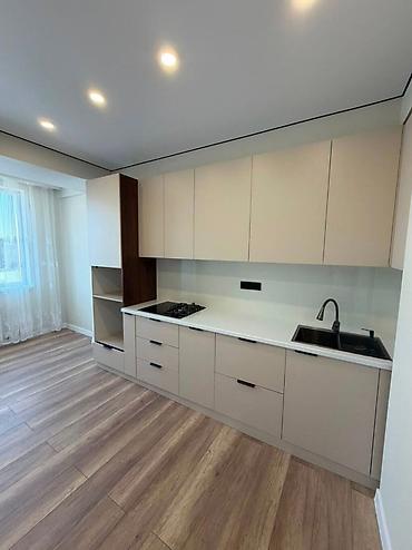 1 комната, 43 м², Пишпек Элитка, 11 этаж, Евроремонт