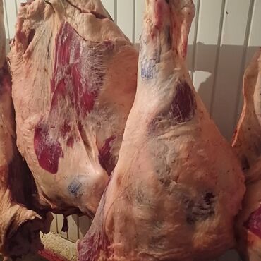 Мясо: Говядина : Более 10 кг, Бон-филе, Бесплатная доставка