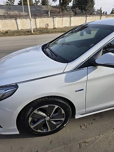 Hyundai: Hyundai Sonata: 2019 г., 2 л, Автомат, Гибрид, Седан — 9