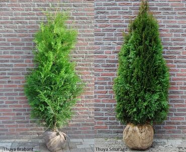 Дизайн, проектирование: Дизайн, Смета на строительство, Проектирование | Дома, Кафе, рестораны, Офисы — 12