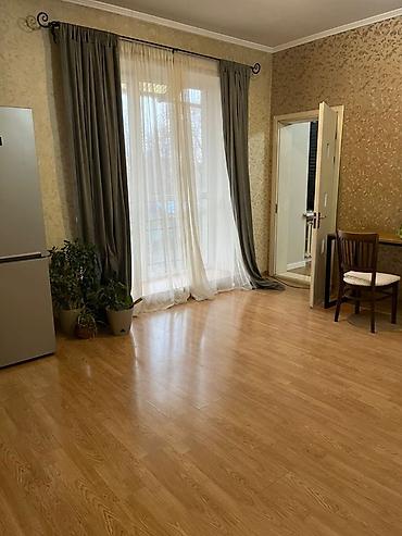 Долгосрочная аренда квартир: Студия, С мебелью полностью — 2