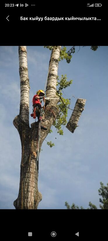 Спил деревьев, заготовка дров: Пилим дерево 🌲 (бак кыркабыз ) быстро качественно не дорога заранее