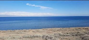 Продажа участков: 200 соток, Договор купли-продажи, Красная книга — 4