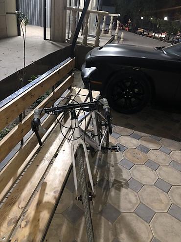 single speed: Городской велосипед, Рама M (156 - 178 см), Б/у — 3