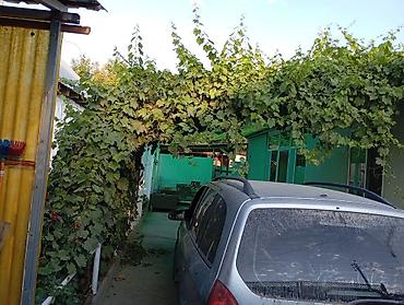 Продажа коттеджей и домов: **СРОЧНО ҮЙ САТЫЛАТ** 📍 Полевое айылы (Манас аэропортунун төмөн жагы) at lalafo.kg — 8 Продажа коттеджей и домов: **СРОЧНО ҮЙ САТЫЛАТ** 📍 Полевое айылы (Манас аэропортунун төмөн жагы) — 8