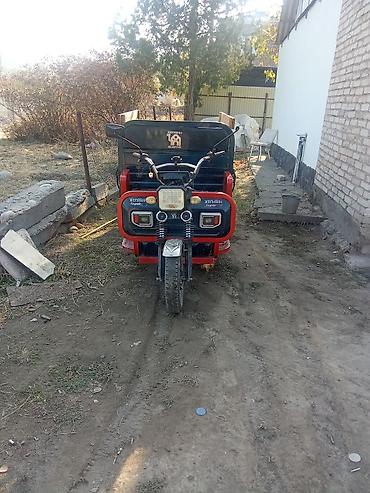 квадроцикл взрослый: Грузовой трёхколёсный мотоцикл (мототрицикл) с кузовом - — 1