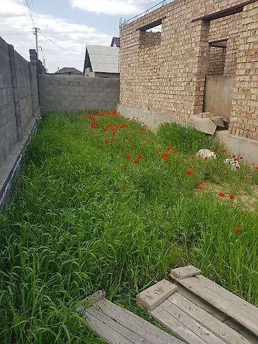 Продажа участков: 5 соток, Тех паспорт, Красная книга at lalafo.kg — 8 Продажа участков: 5 соток, Тех паспорт, Красная книга — 8