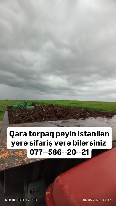 şirəçəkən qiyməti: Qara torpaq İsmayıllı, Şamaxı, Mərəzə rayonları ərazisindən istəyə
