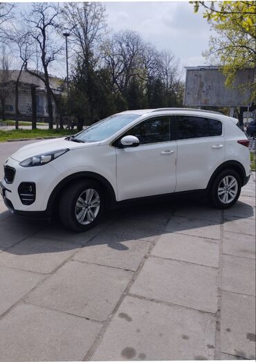 kia rio 2004: Kia Sportage: 2017 г., 2 л, Автомат, Дизель, Кроссовер