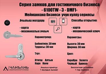 Дверные кодовые замки: Электронные дверные замки «Чанъ Ань» 	🔒 Современные электронные замки — 12