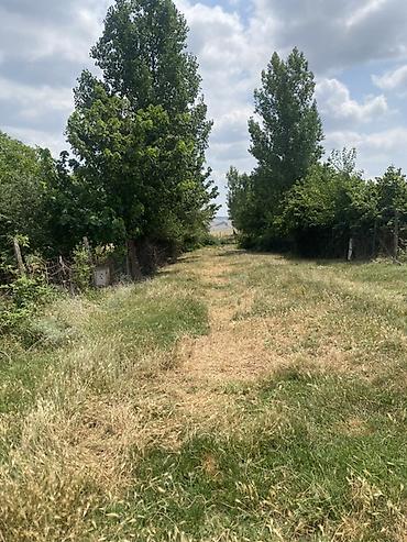 Torpaq sahələrinin satışı: 15 sot, Tikinti — 4