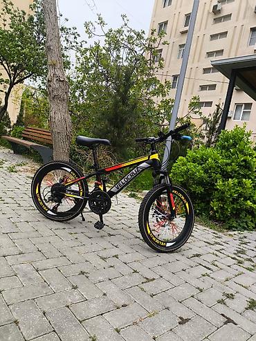 Velosipedlər: Velocruz uşaq/yeniyetmə dağ velosipedi - Çərçivə: Velocruz alüminium — 2