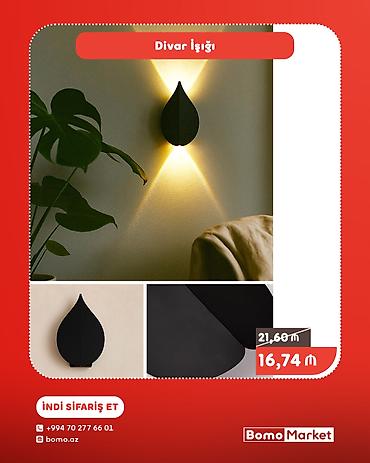 İşıqlandırma: Məhsul: Divar İşığı - Dizayn: Yarpaq formalı minimalist korpus, mat — 1