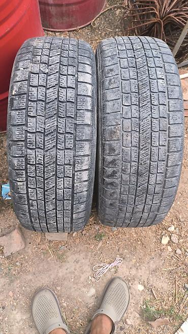 e34 4 4: Зимние шины (липучки) без шипов, размер 215/55 R17, индекс — 2