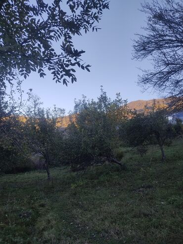 Bağ evlərinin satışı: İsmayıllı, 80 kv. m, 2 otaqlı, Hovuzsuz, Telefon, İnternet, İşıq -da lalafo.az — 3 Bağ evlərinin satışı: İsmayıllı, 80 kv. m, 2 otaqlı, Hovuzsuz, Telefon, İnternet, İşıq — 3