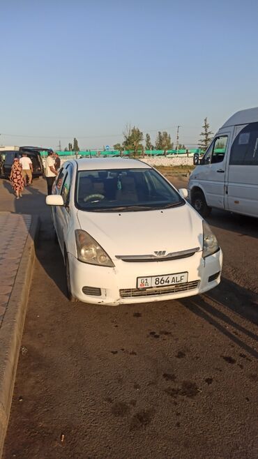 зимние шыны: Белый минивэн Toyota Wish, подходящий для семейных поездок и перевозки