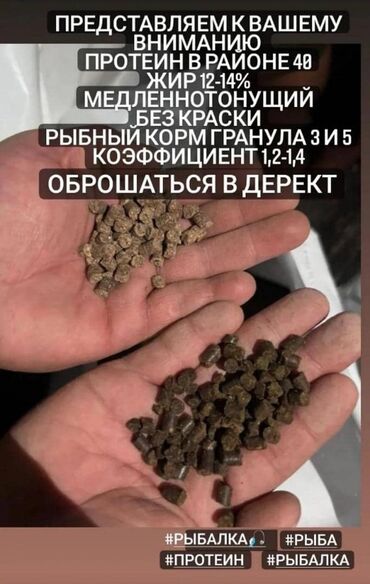 Животные: Продаю корм для форели 3-5ка местное произвоцтво сырье из россии