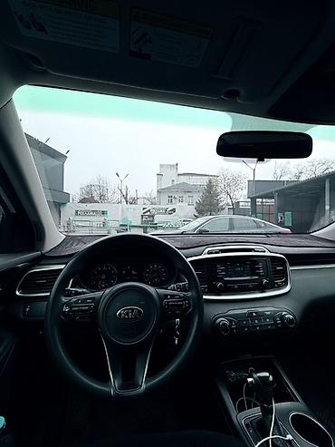 Kia: Kia Sorento: 2017 г., 2.4 л, Бензин, Кроссовер — 10