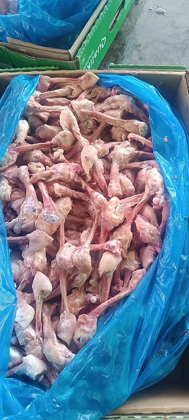 Продаю бройлерные мясные куриные трубчатые кости по 20 сом за кг at lalafo.kg Продаю бройлерные мясные куриные трубчатые кости по 20 сом за кг