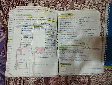 defter üzü: Конспекты по всем темам и классам по биологии. Если купите больше двух — 2