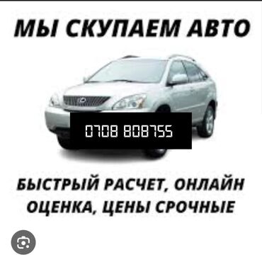 Полики: Полики Для салона Lexus