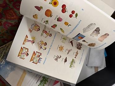 solutions upper intermediate: Рабочая тетрадь «Я и мир». 3 класс, часть 2 (с наклейками). Авторы: Е — 1