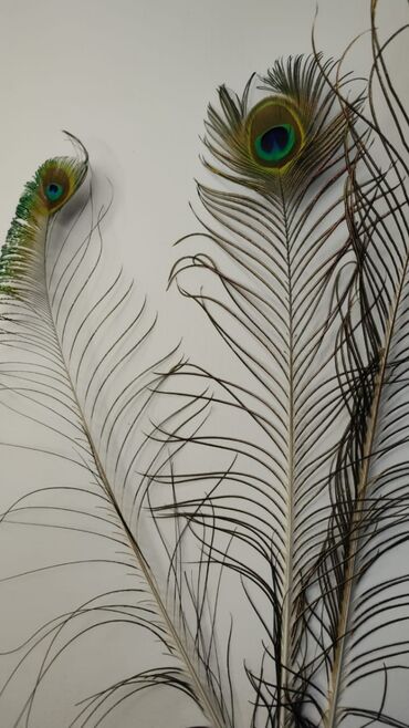 Декор для дома и сада: Декор для дома и сада at lalafo.kg — 8 Декор для дома и сада: Декор для дома и сада — 8