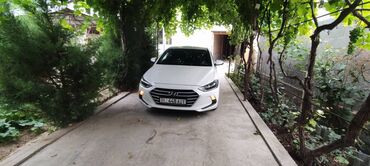авто в рассрочку без первоначального взноса: Hyundai Avante: 2017 г., 1.6 л, Автомат, Бензин, Седан